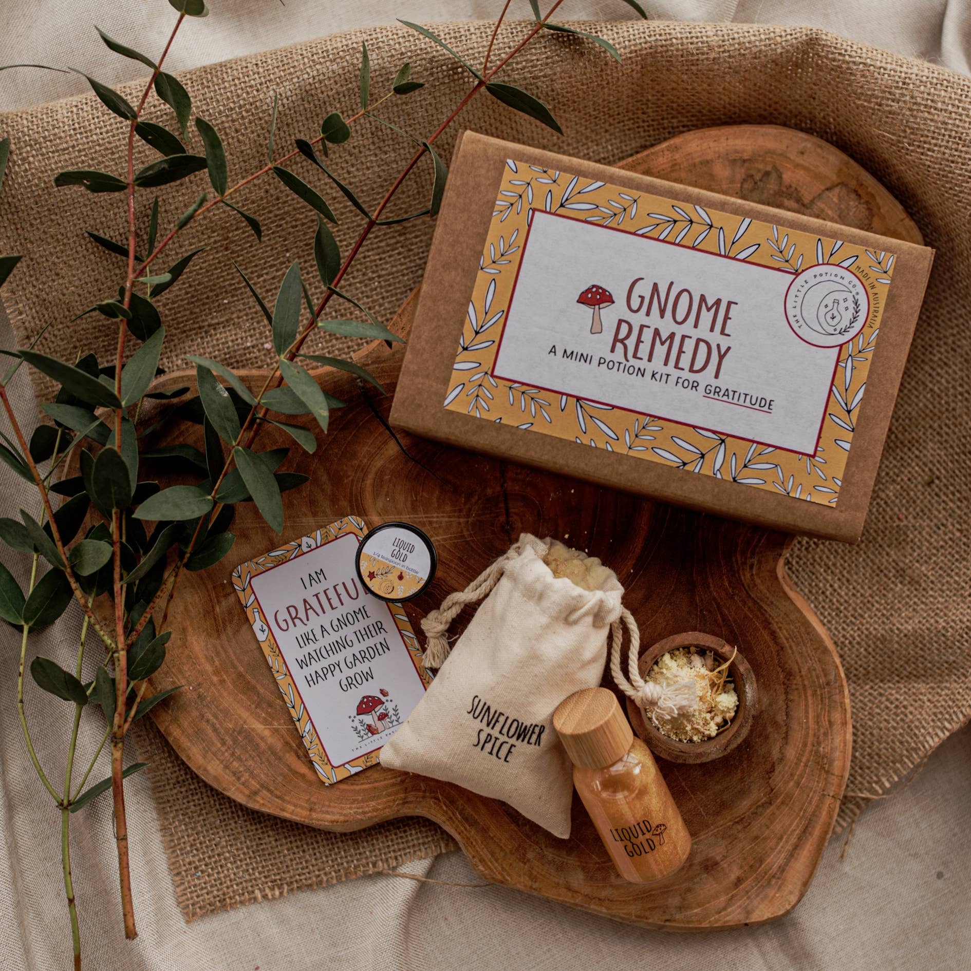 Mini Gnome Remedy Potion Kit