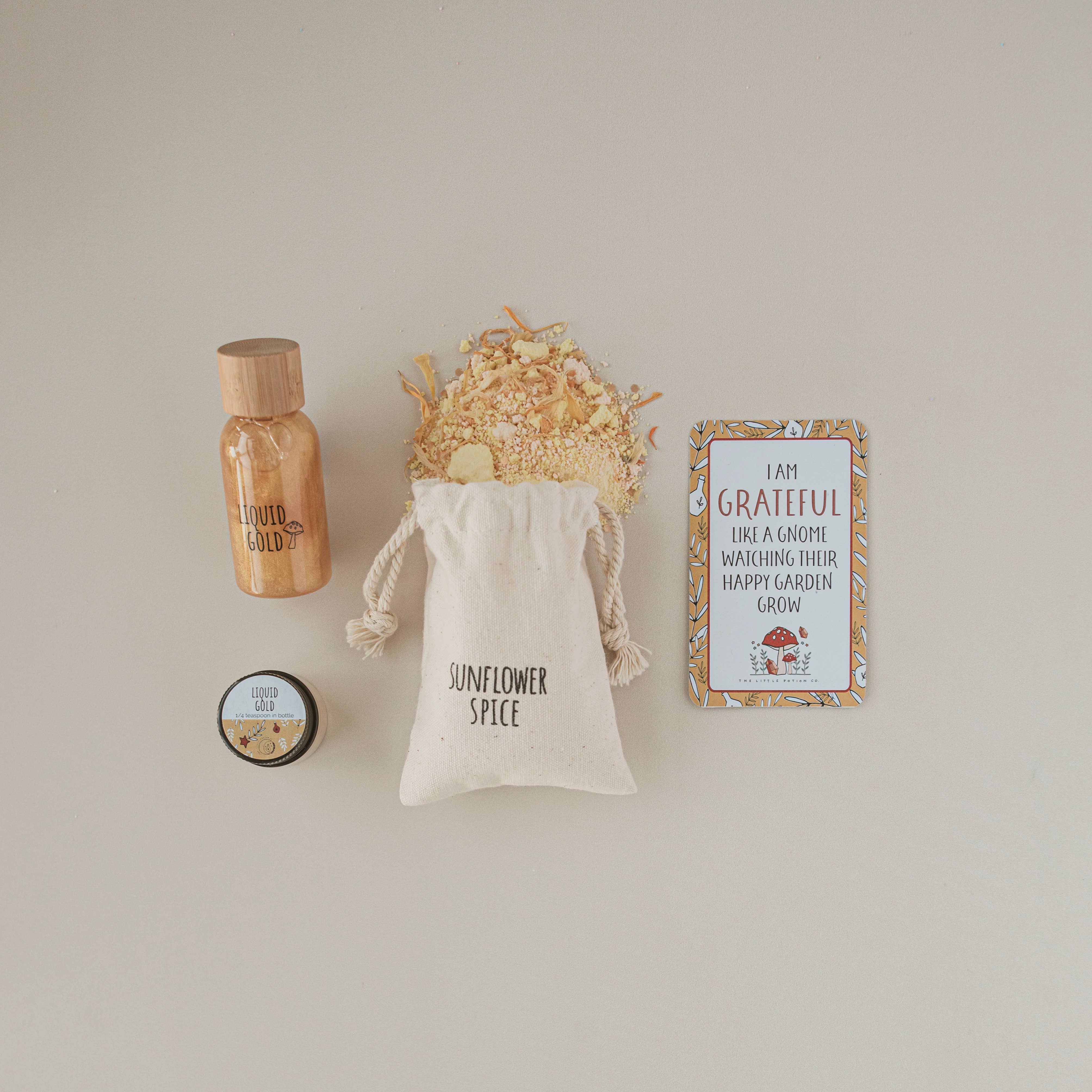 Mini Gnome Remedy Potion Kit