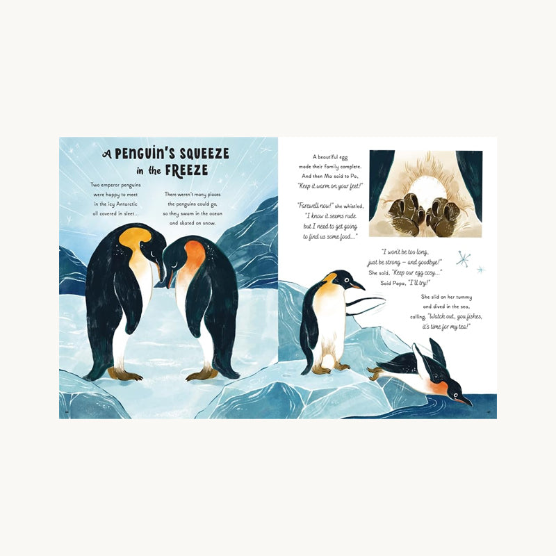 5 Minute Ocean Stories