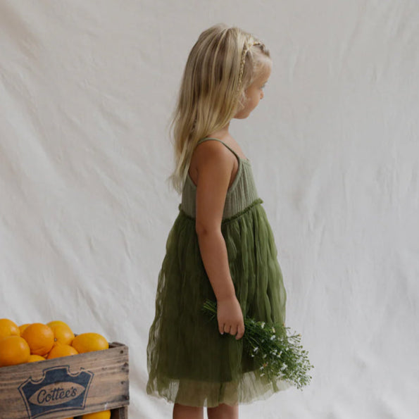 Bangalow Tutu Eucalyptus