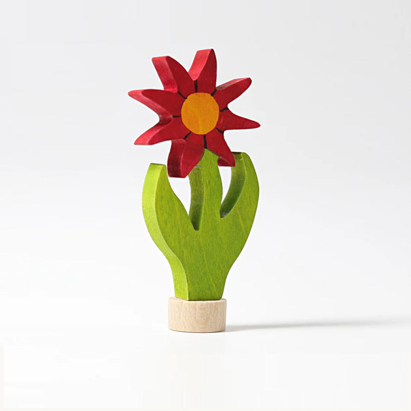 Grimm's Aster Flower