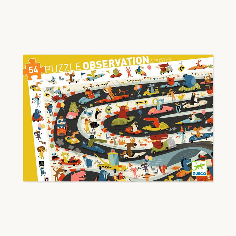 Car Rally Observation Puzzle