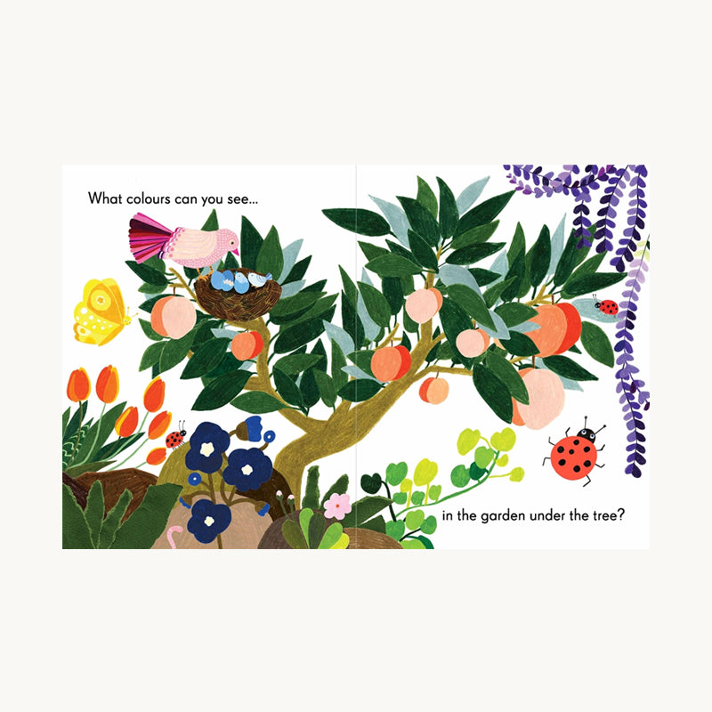 Colours in the Garden