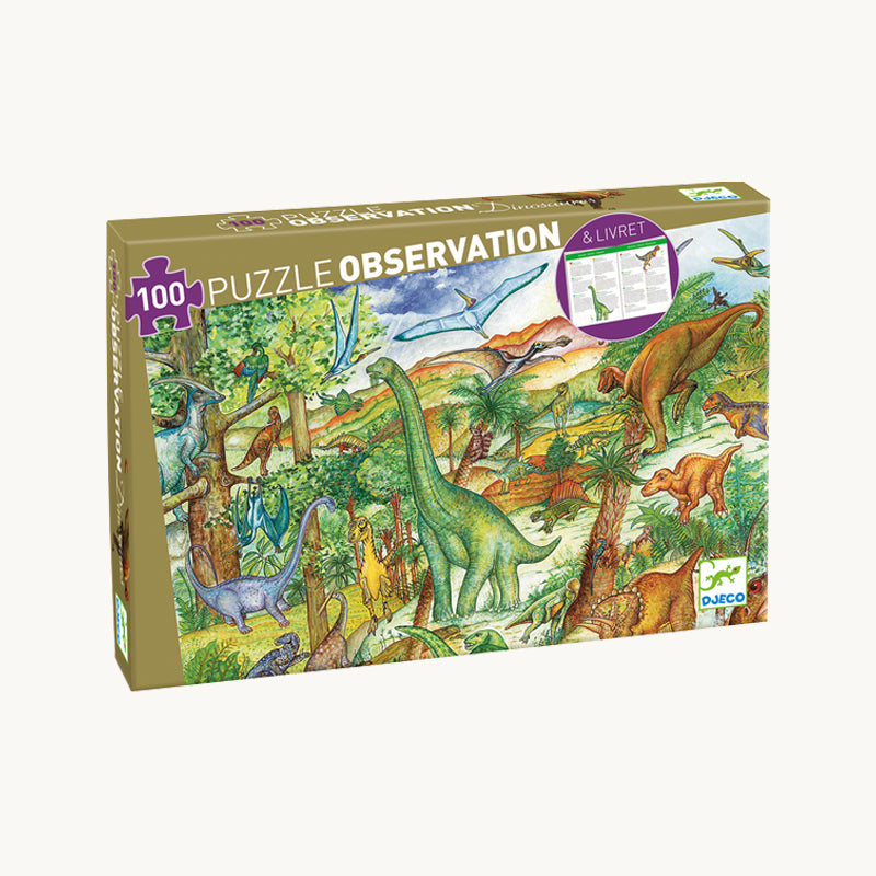 Dinosaur Observation Puzzle