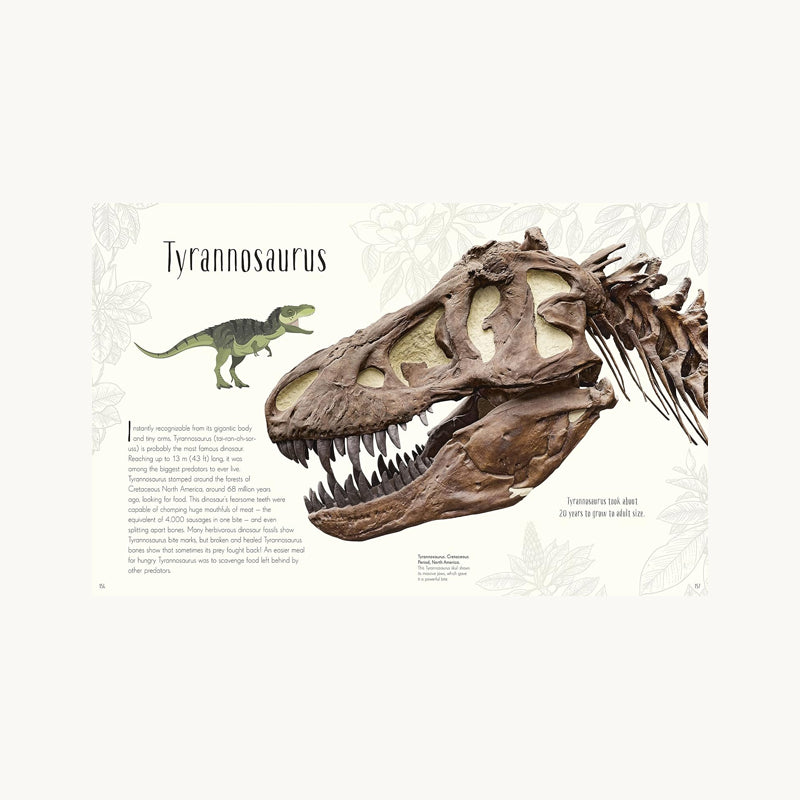 Dinosaurs and Other Prehistoric Life