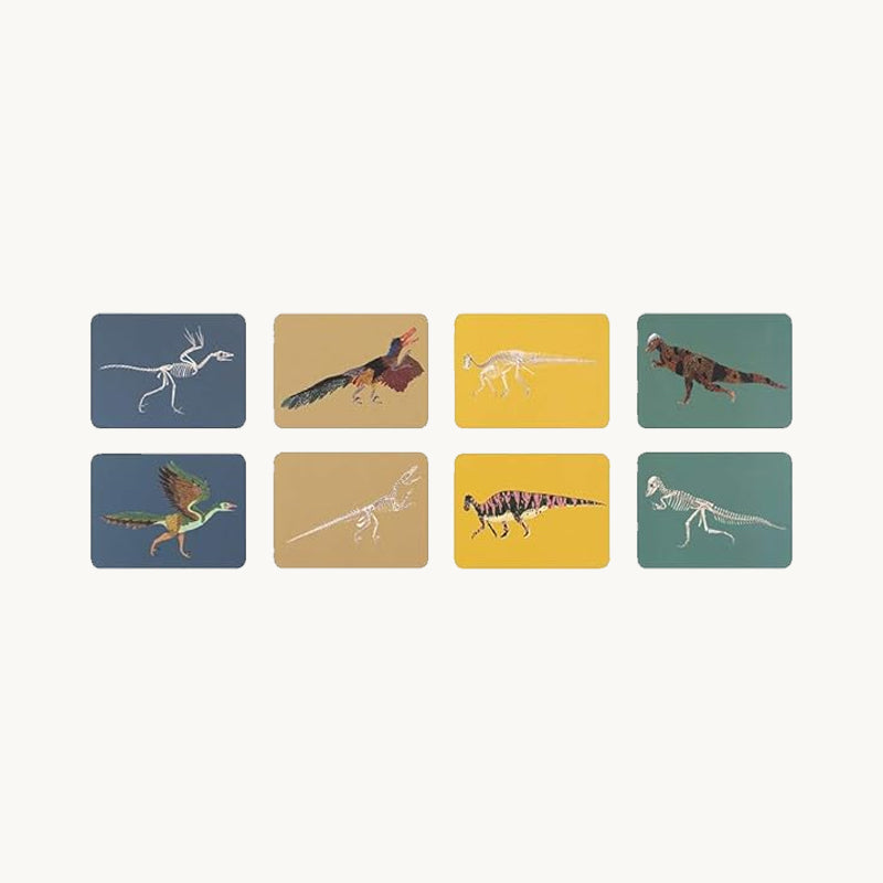 Match These Bones: Memory Game