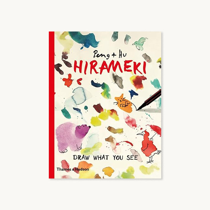 Hirameki Draw What You See