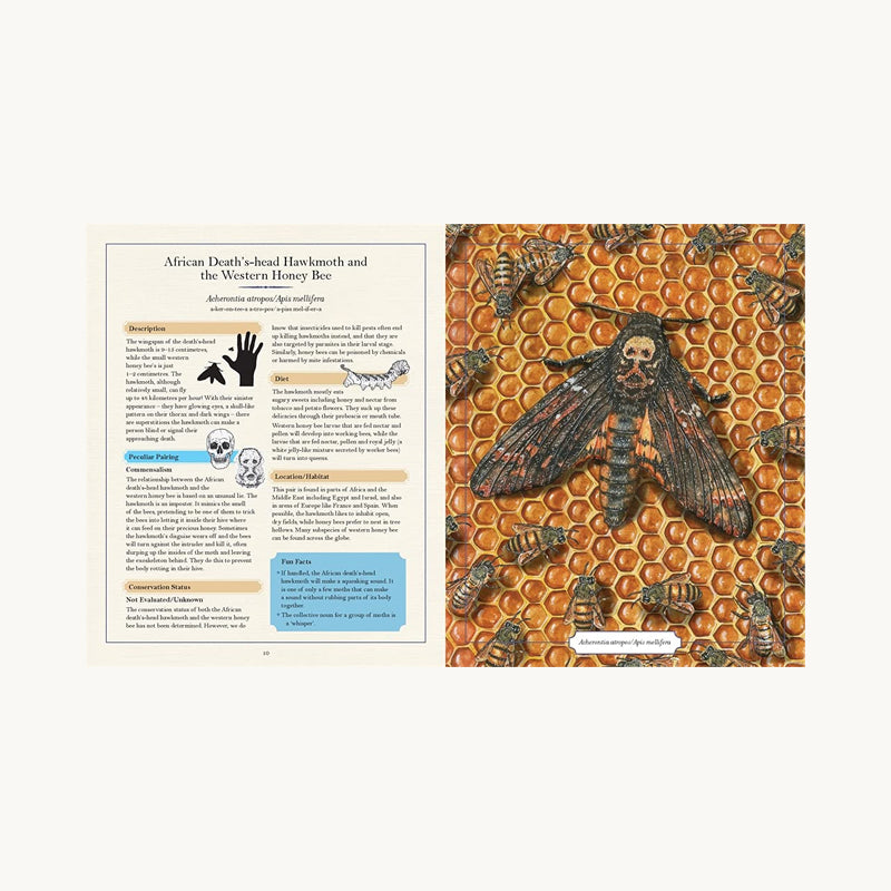 The Illustrated Encyclopaedia of Peculiar Pairs in Nature