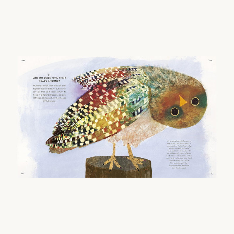 Everything Under The Sun