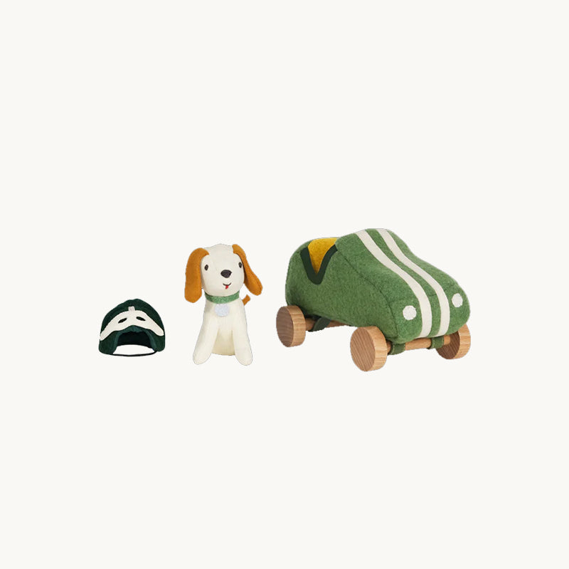 Dog-Go Racer Boy