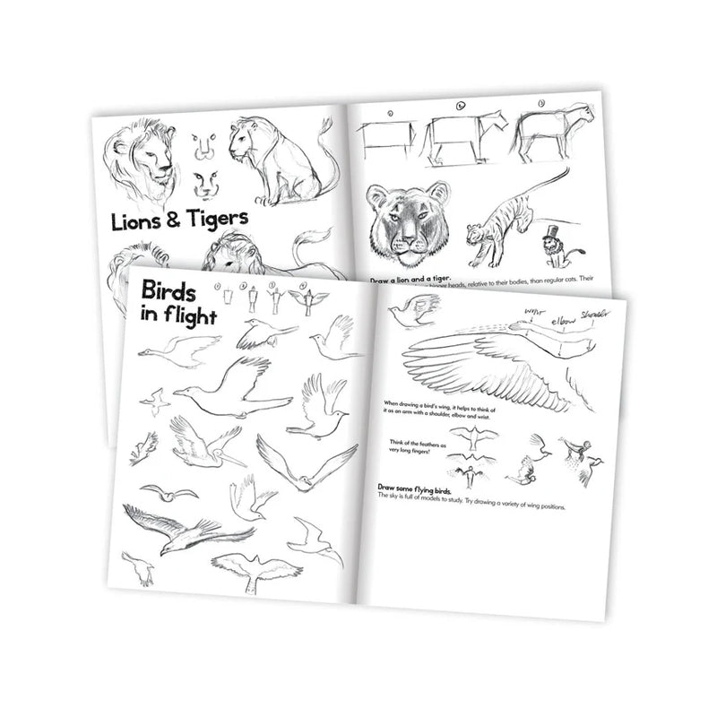 EeBoo Learn to Draw Animals