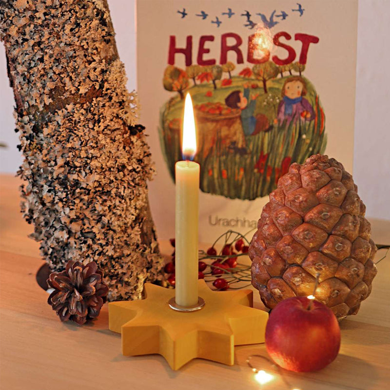Grimm's Star Candle Holder
