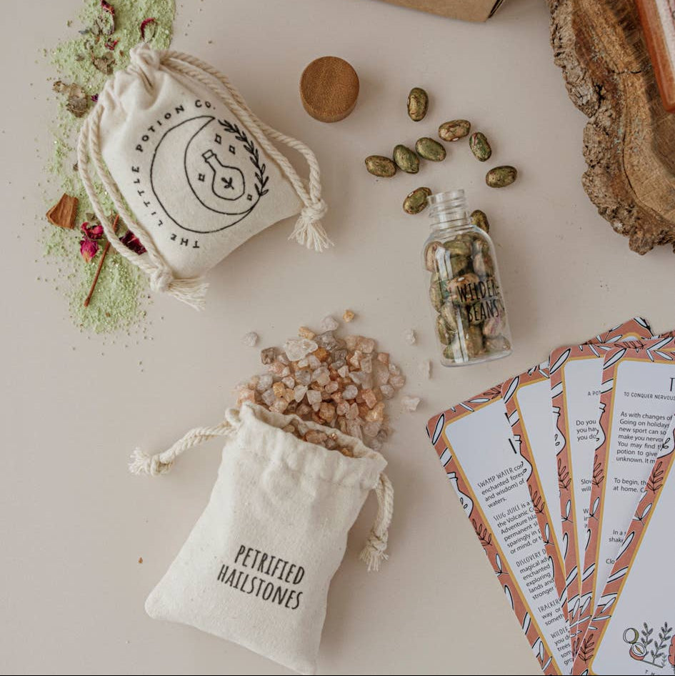 Wild Adventure Potion Kit