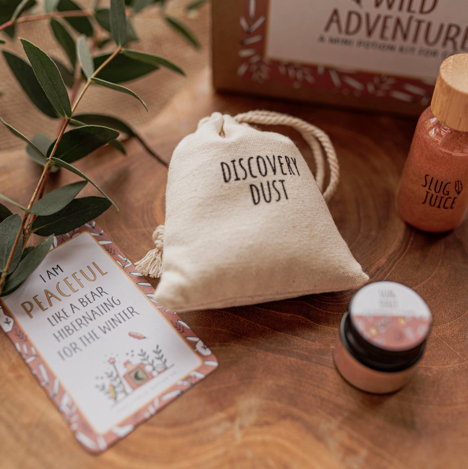 Mini Wild Adventure Potion Kit