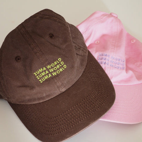 Signature Dad Cap Earth