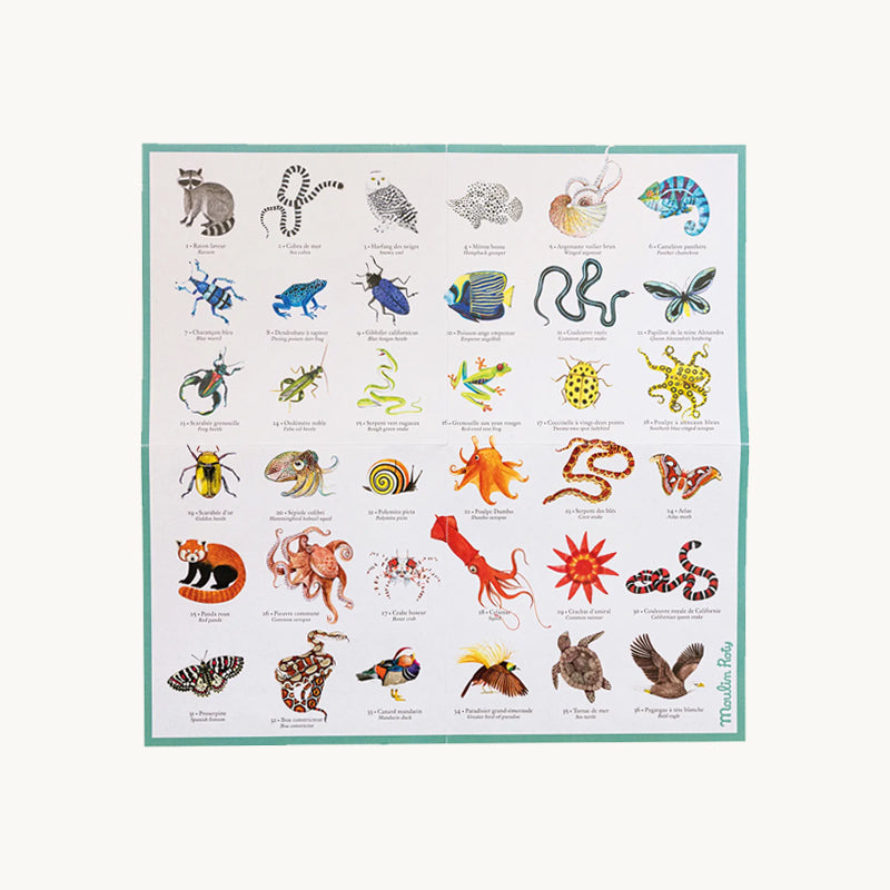 Autour du Monde Animal Memory Game