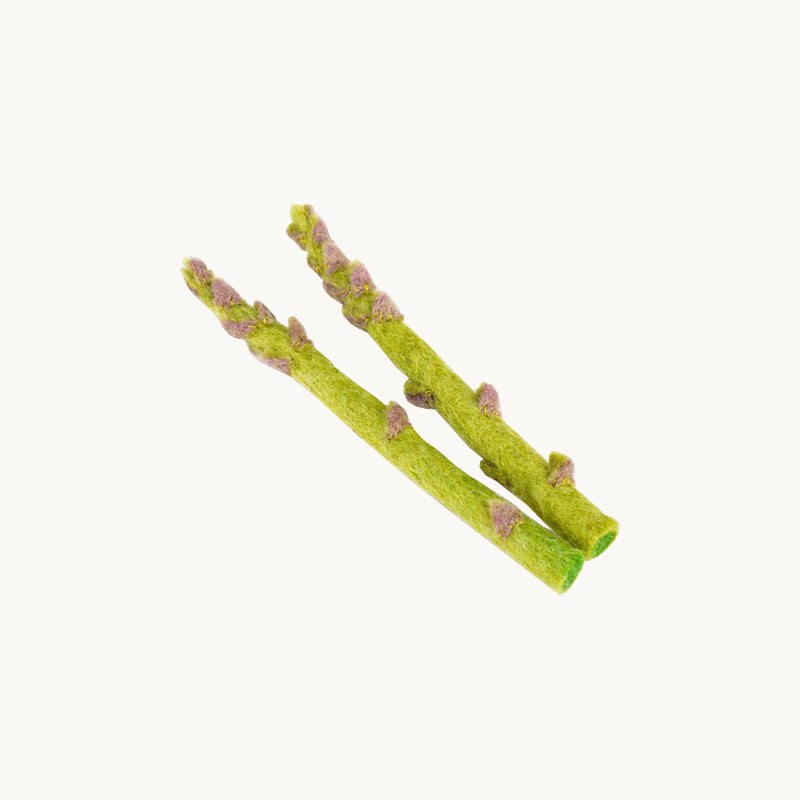 Felt Asparagus Set