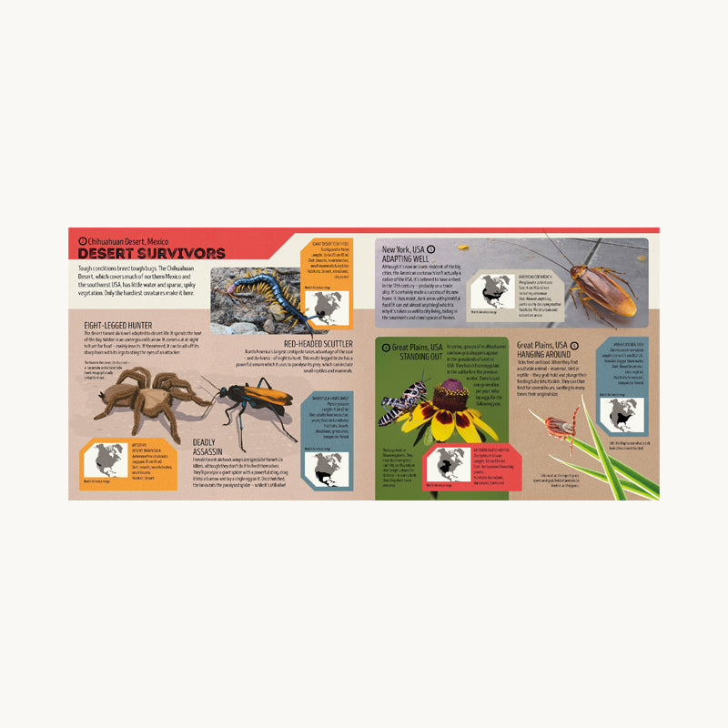 Bug Atlas