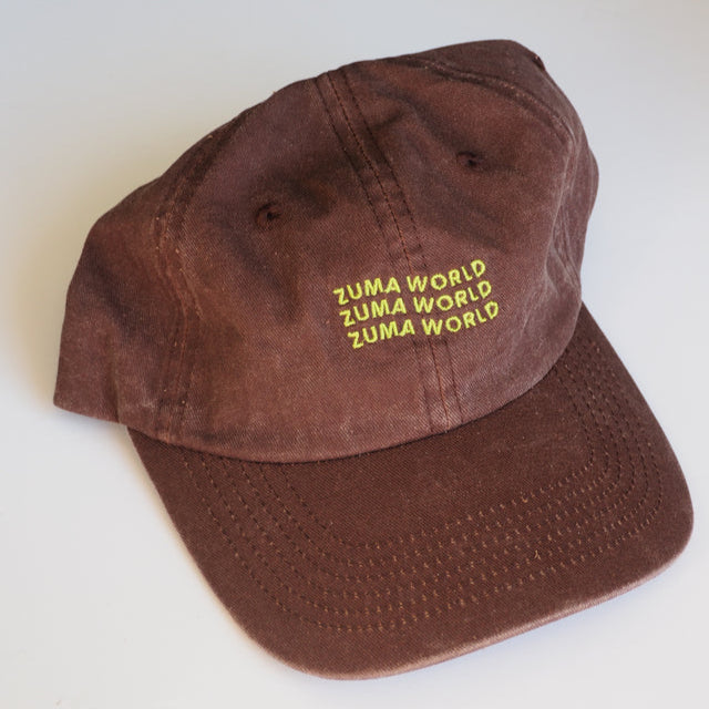 Signature Dad Cap Earth