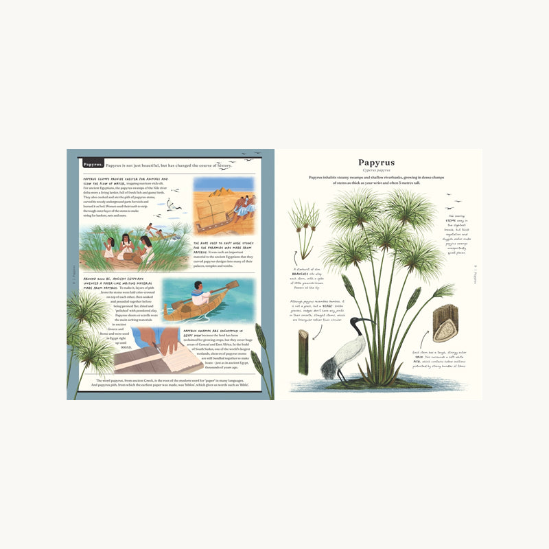 The Stuff that Stuff is Made of