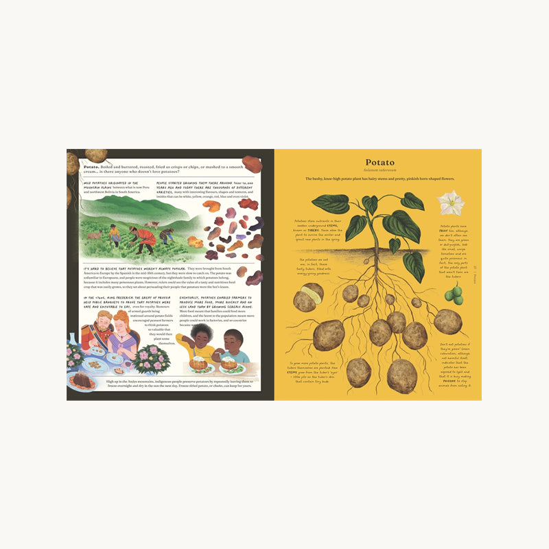 The Stuff that Stuff is Made of