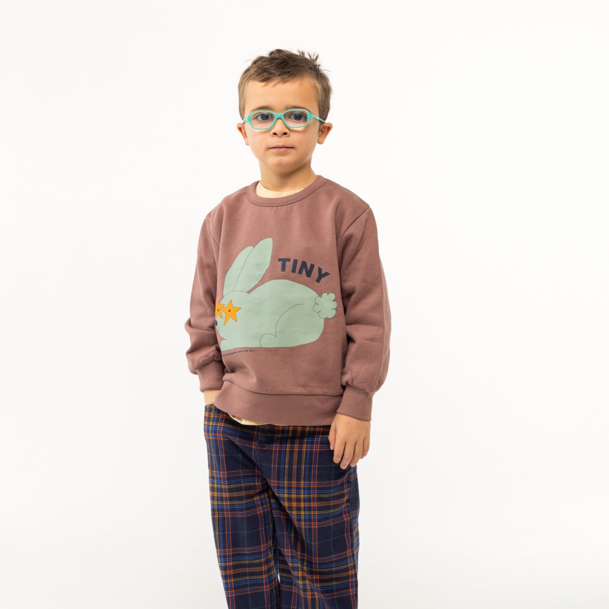 Rabbit Sweatshirt