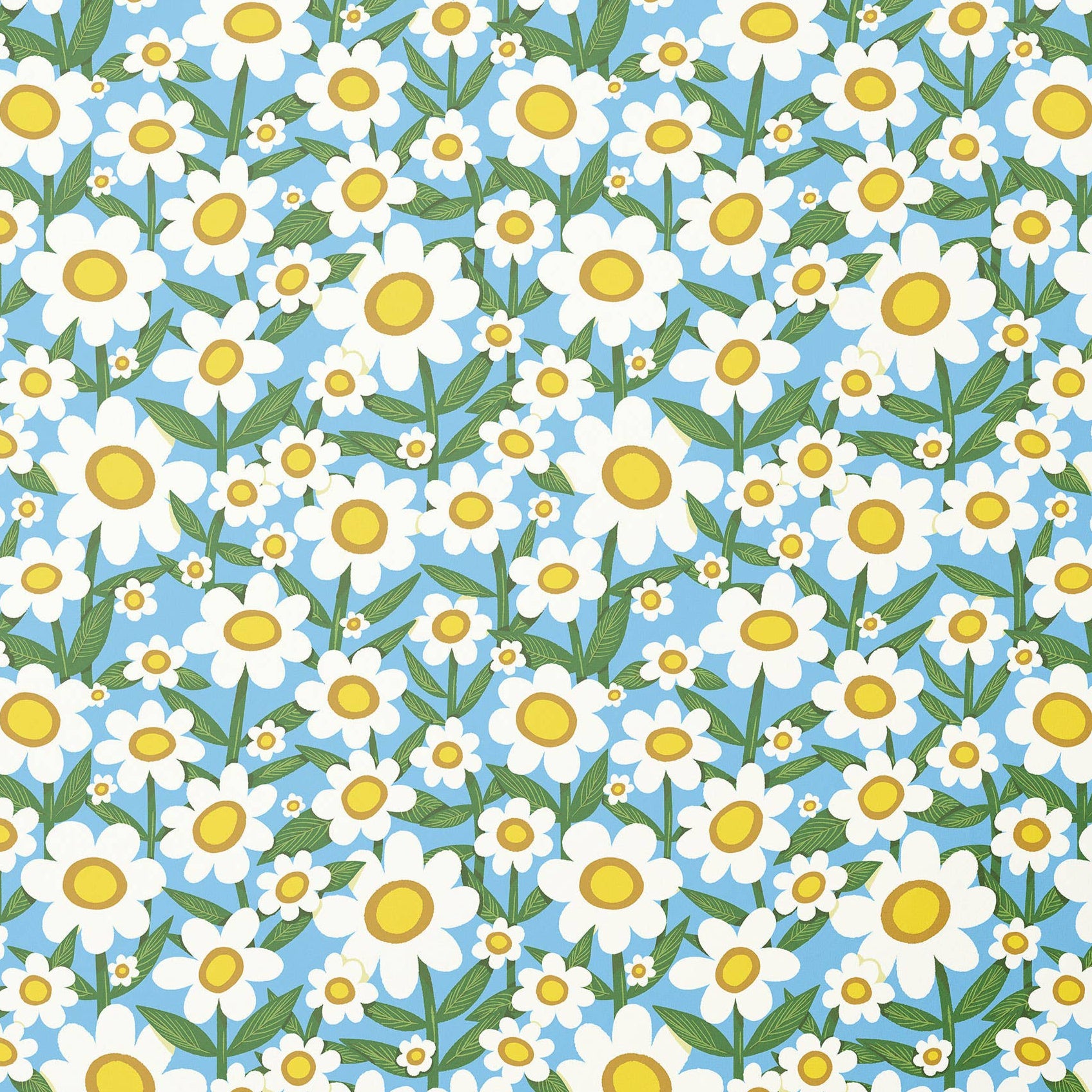 Daisy Gift Wrap