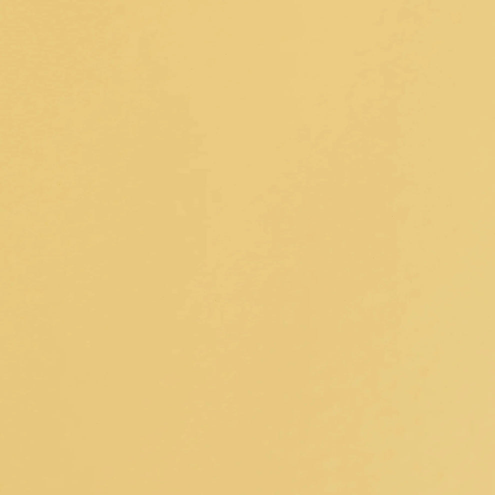 Toyo Trunk Toolbox Italian Yellow